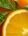 Les vitamines